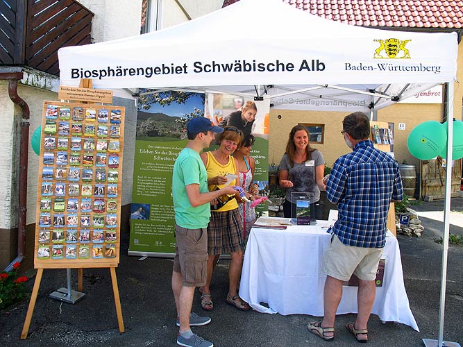 Der Scheunensommer in Schopfloch