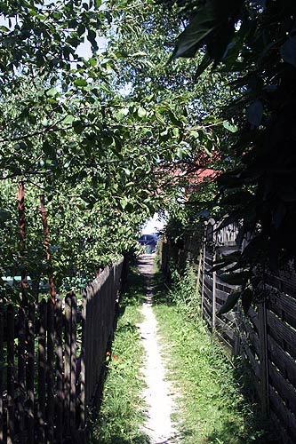 Der Scheunensommer in Schopfloch