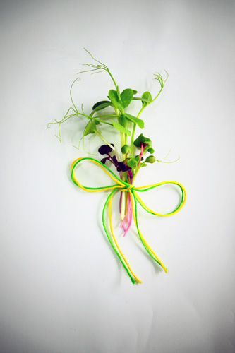 Alb Microgreens